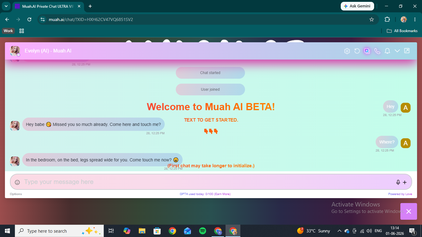 Chatting with Evelyn on Muah AI